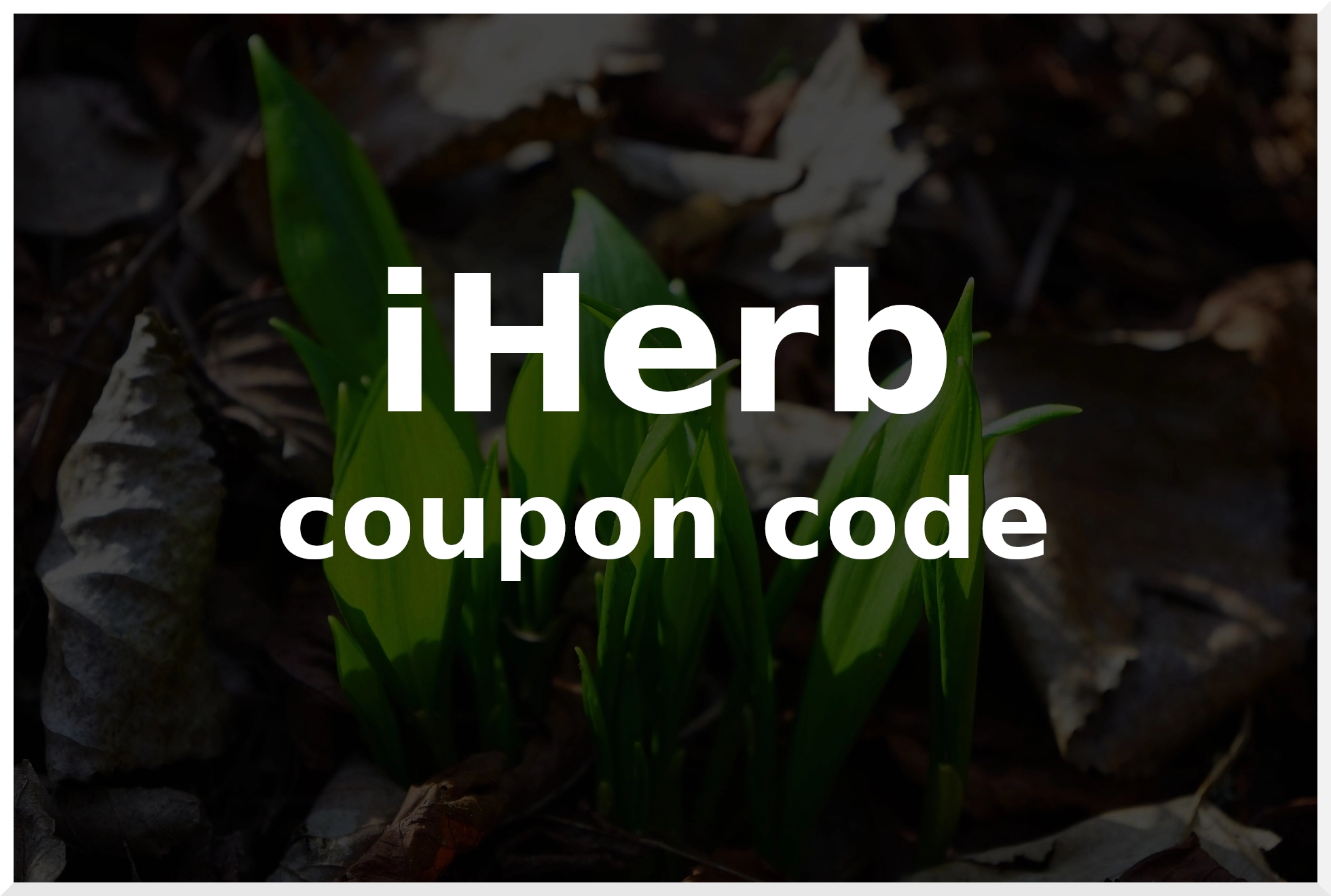 These 10 Hacks Will Make Your promo codes for iherbLike A Pro